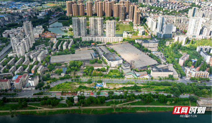图为芦淞区麻纺厂片区。